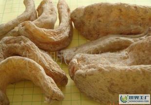 供應產(chǎn)地直供深山優(yōu)質(zhì)出口級干天麻!_醫(yī)藥、保養(yǎng)_世界工廠網(wǎng)中國產(chǎn)品信息庫