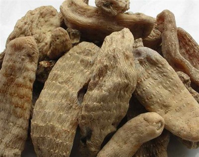 天麻藥用價值與貴州金茂生物科技的天麻優勢