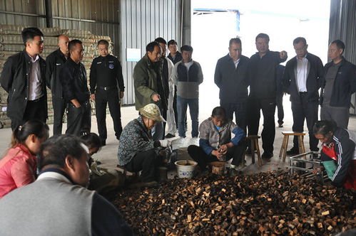 州委書(shū)記桑維亮赴鎮(zhèn)遠(yuǎn)縣氵舞陽(yáng)鎮(zhèn)調(diào)研林下經(jīng)濟(jì)天麻產(chǎn)業(yè)